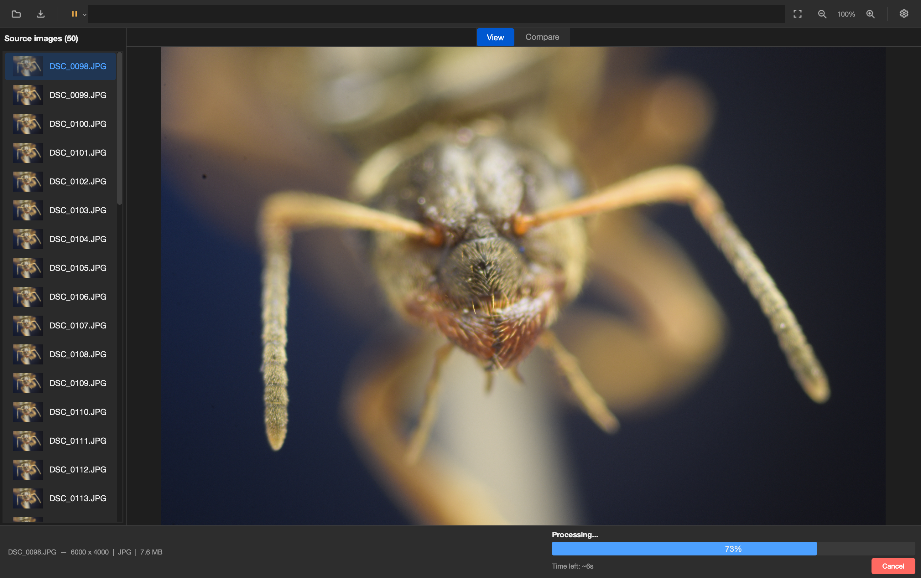 Processing view